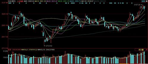 中孚信息引領(lǐng)漲停潮 中國軟件板塊走強(qiáng)背后的邏輯與機(jī)遇